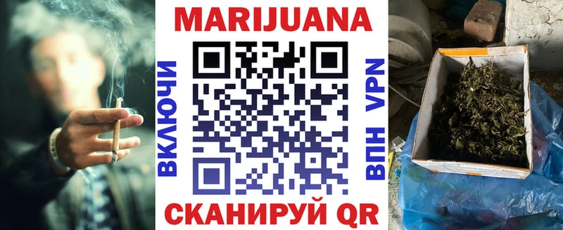 Каннабис сатива  наркотики  Назрань 